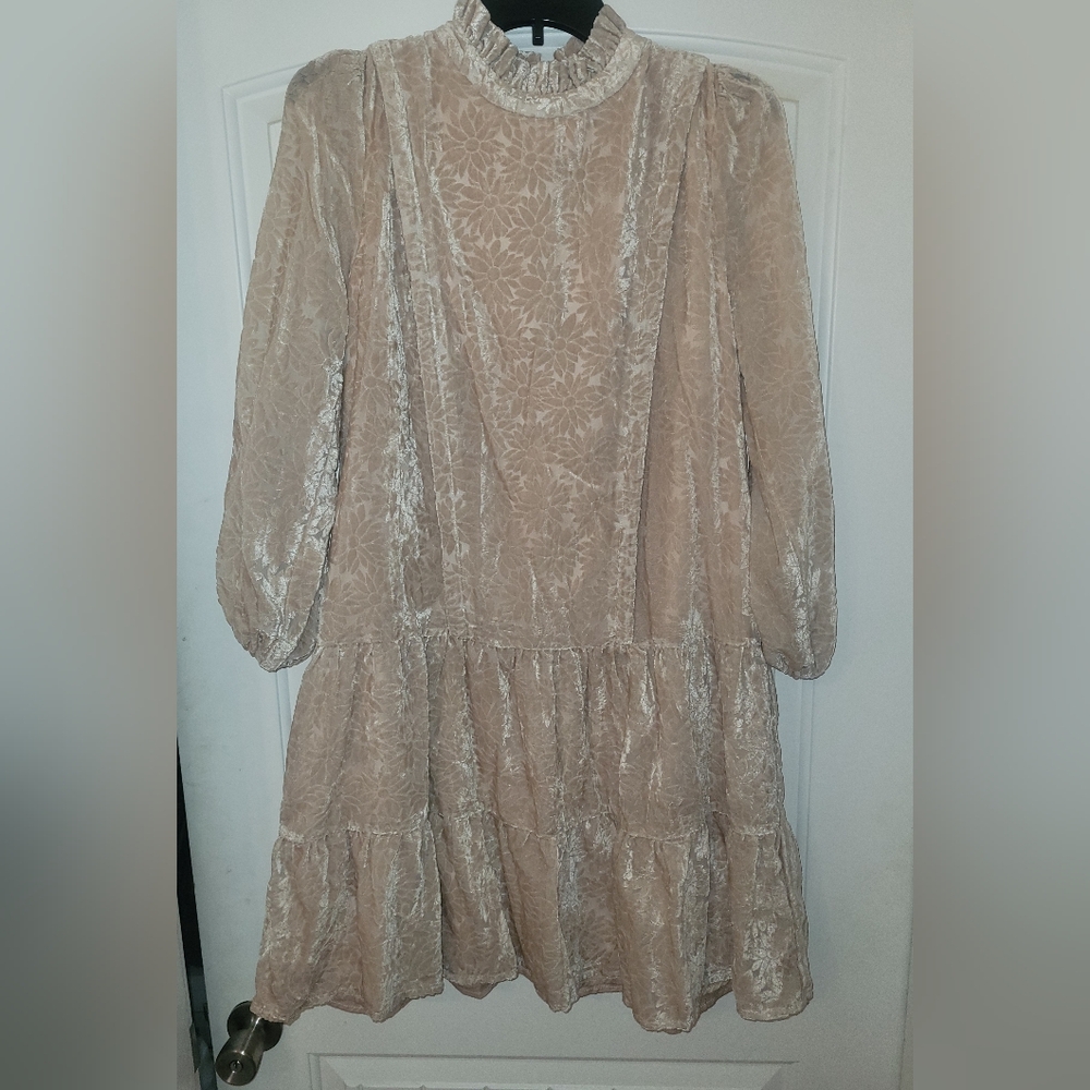 NWT Salt beige velvet midi dress floral velvet women's size medium